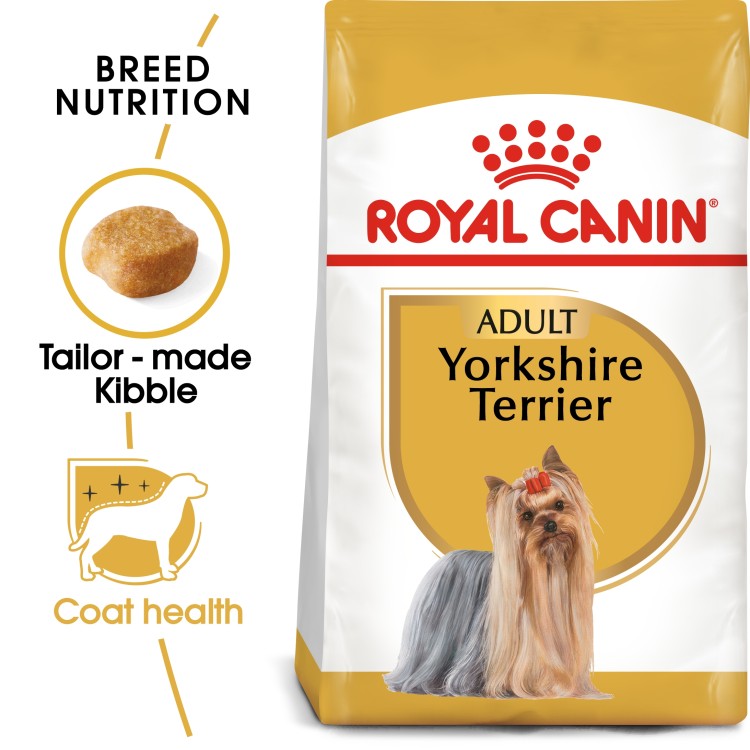 Breed Health Nutrition Yorkshire