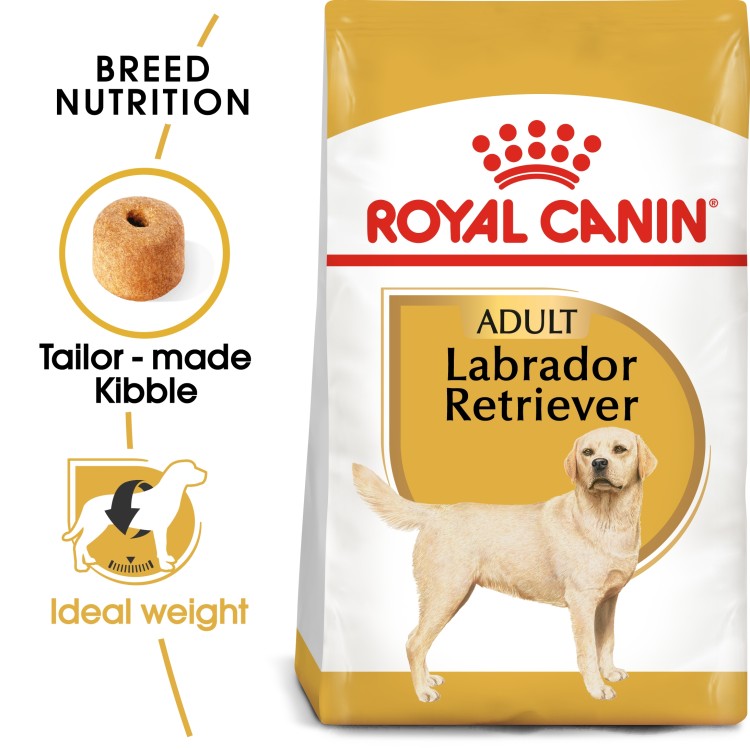 Breed Health Nutrition Labrador  Adult