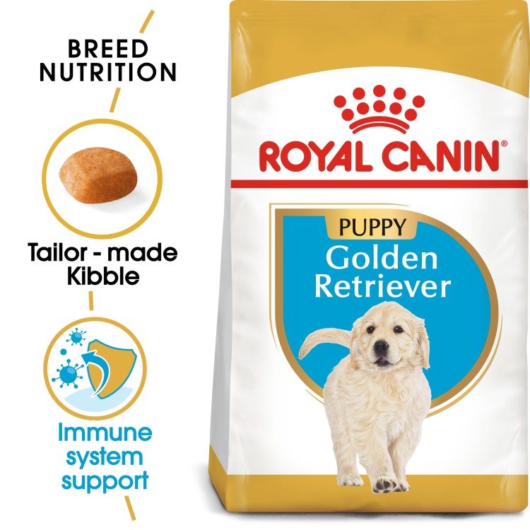 Breed Health Nutrition Golden Retriever Puppy