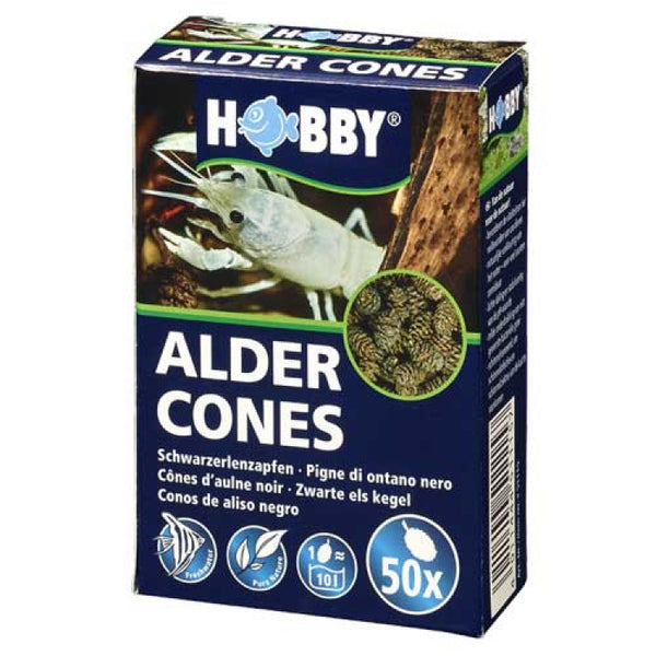 Alder Cones 50pcs