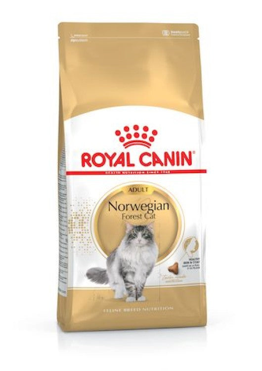 Feline Breed Nutrition Norwegian Forest Cat Adult