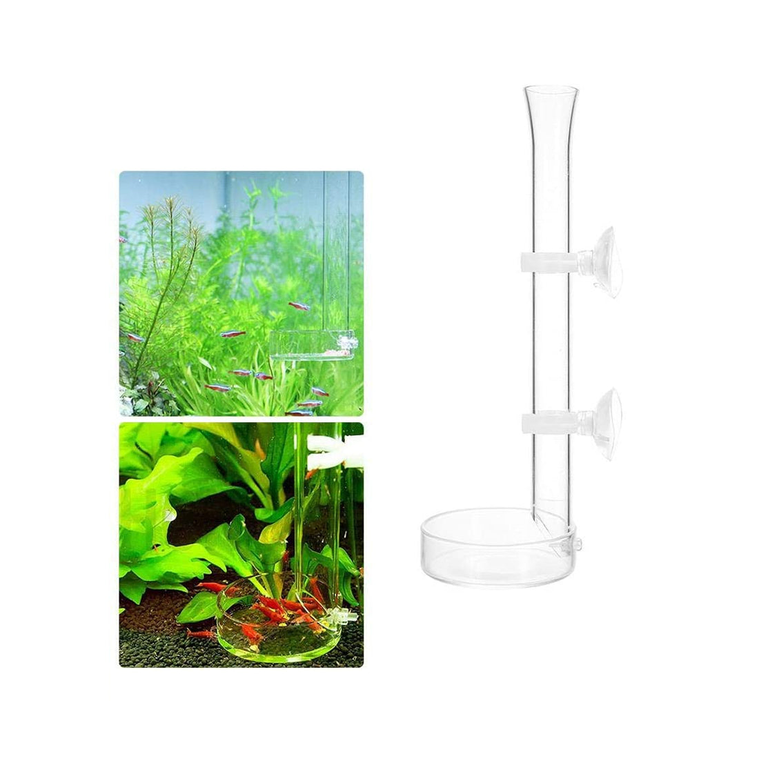 Glass Feeder Kit