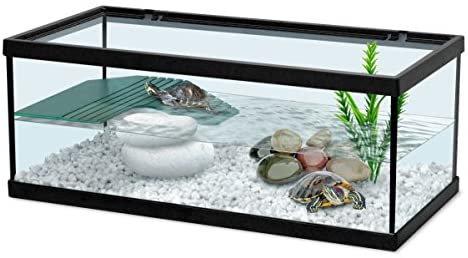 Aquarium image