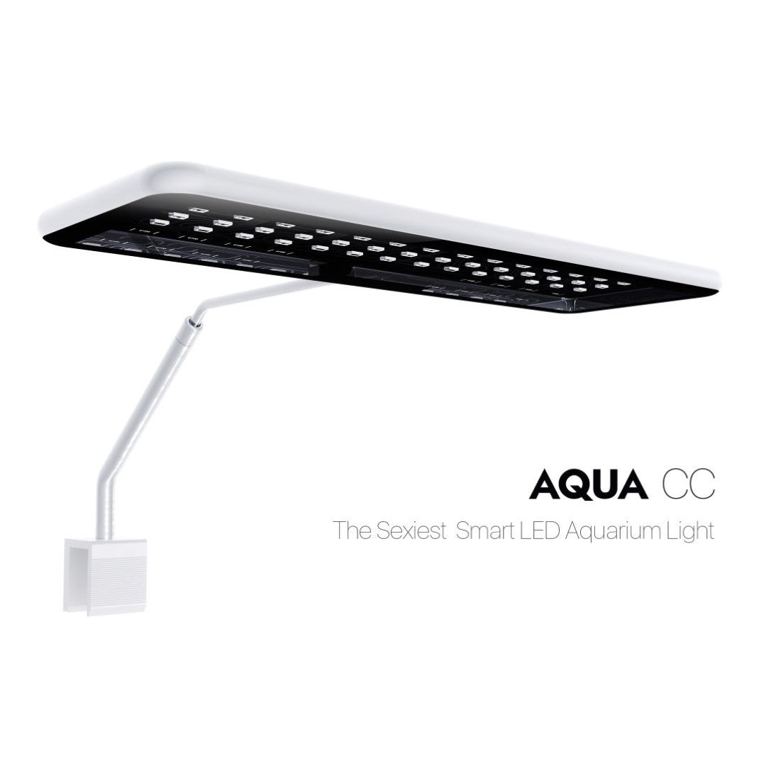 Micmol Aqua CC (Planted)